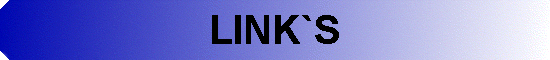  LINK`S 
